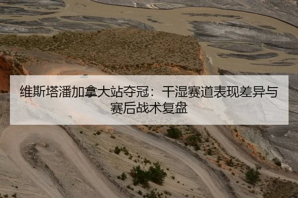 维斯塔潘加拿大站夺冠：干湿赛道表现差异与赛后战术复盘